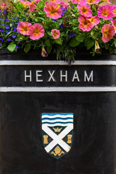 Hexham Storbritannien Augusti 2021 Ett Blomsterbadkar Den Historiska Marknadsstaden Hexham — Stockfoto