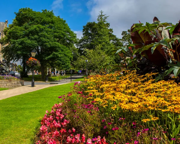 Harrogate Storbritannien Augusti 2021 Vackra Blommor Den Historiska Spa Staden — Stockfoto