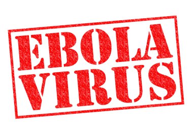 Ebola virüsü