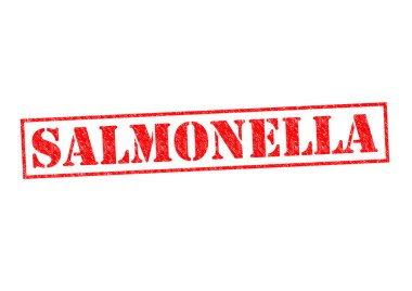 Salmonella