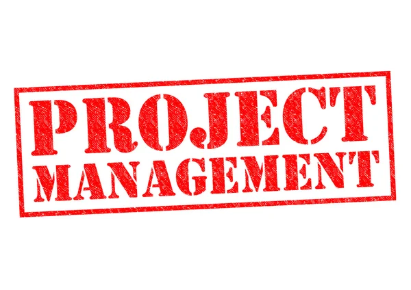 Projekt menedzsment — Stock Fotó