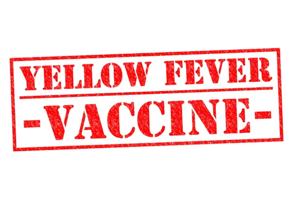 Gele koorts vaccin — Stockfoto