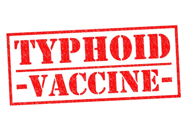 VACCINE TYPHOIDE — Photo