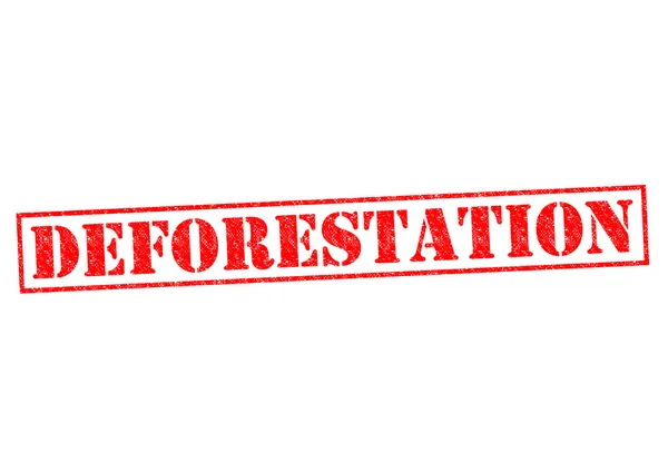 DEFORESTATION — Stock Photo, Image