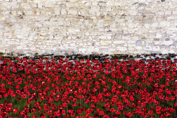 Poppies at the Tower of London