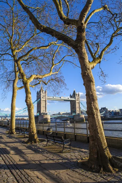 Vista da ponte da torre ao longo do caminho do Tamisa em Londres — Fotografia de Stock