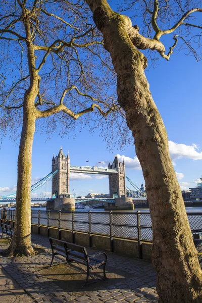 Utsikt över Tower Bridge från Thames Path i London — Stockfoto