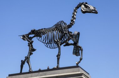 Gift Horse Sculpture on the Fourth Plinth in Trafalgar Square clipart