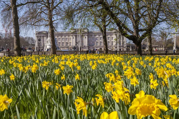 Widok na Pałac Buckingham z Green Park w Londynie — Zdjęcie stockowe