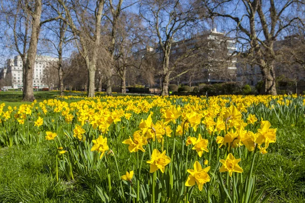 Vue printanière de Green Park à Londres — Photo