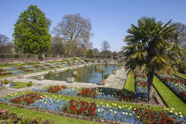 Potopené zahrada v Kensingtonském paláci v Londýně — Stock fotografie