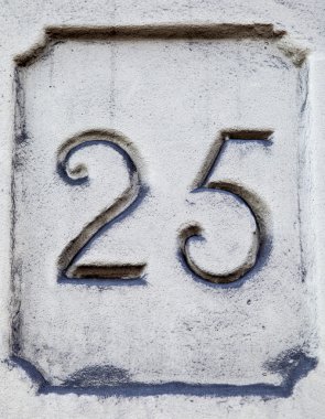 Sayı 25