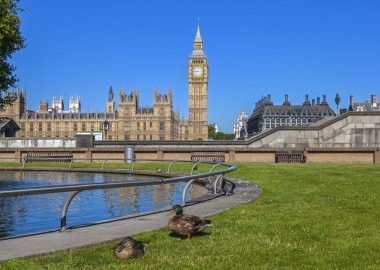 Ördekler Westminster