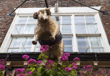 The Golden Fleece Public House in York clipart