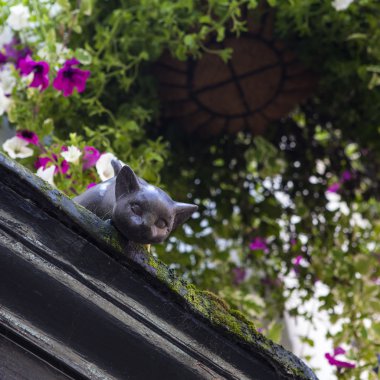 Kedi heykel York