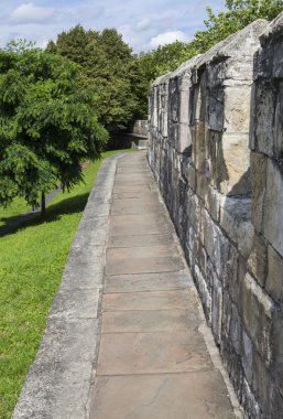 York şehir duvarları