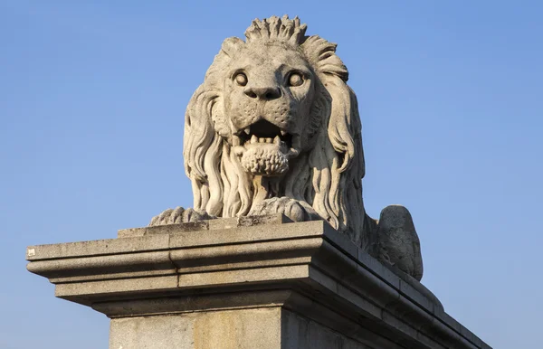 ブダペスト鎖橋のライオンの彫刻 — ストック写真