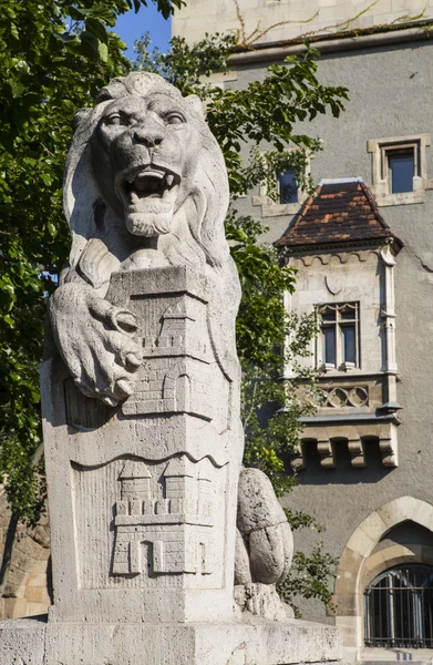 Rzeźba Lwa w Zamku Vajdahunyad w Budapeszcie — Zdjęcie stockowe