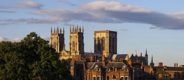 View of York Minster — Stock Photo, Image