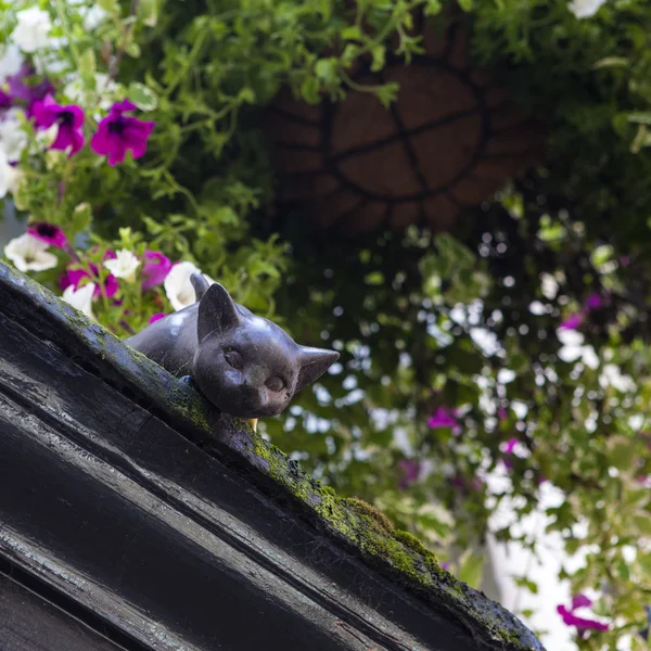 Katzenstatue in New York — Stockfoto