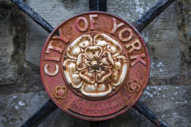 York City kret