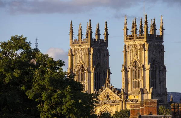 York Minster — Stockfoto