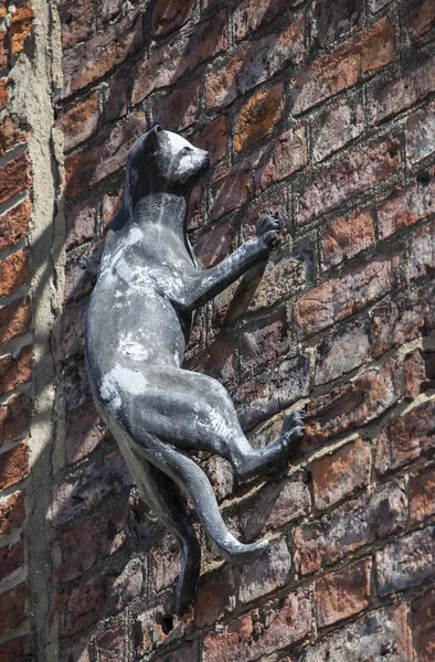 Estátua de gato em york — Fotografia de Stock