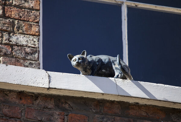 Cat Statue in York