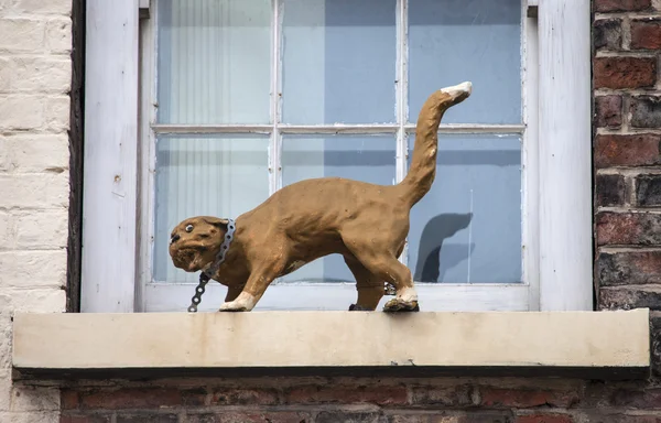 Katzenstatue in New York — Stockfoto