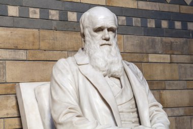 Charles Darwin Statue in the Natural History Museum clipart