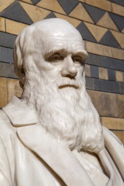 Doğal Tarih Müzesi Londra Charles Darwin