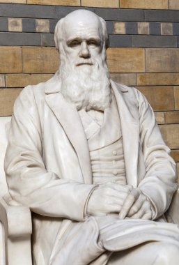Doğal Tarih Müzesi Charles Darwin heykeli