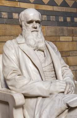 Doğal Tarih Müzesi Charles Darwin heykeli