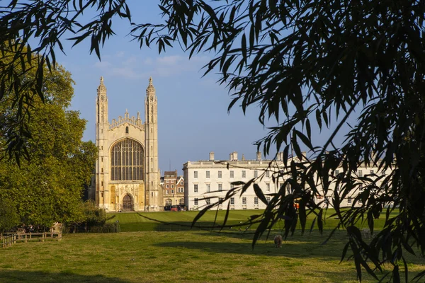 King's College in Cambridge — Stockfoto