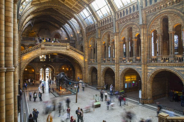 Naturhistoriska museet i London — Stockfoto