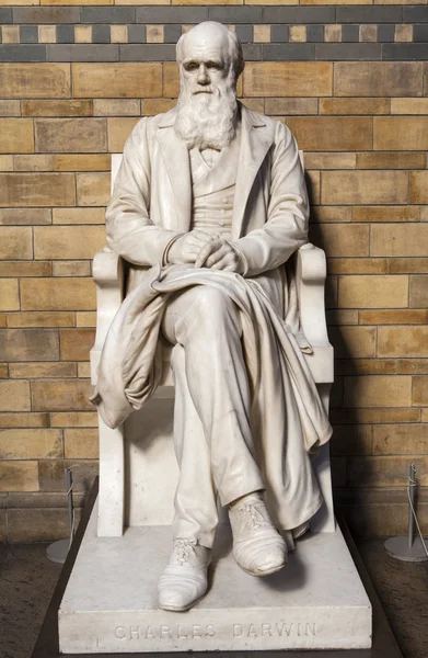 Charles Darwin standbeeld in het Natural History Museum — Stockfoto