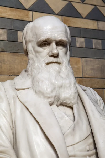 Statue Charles Darwin au Musée d'histoire naturelle — Photo