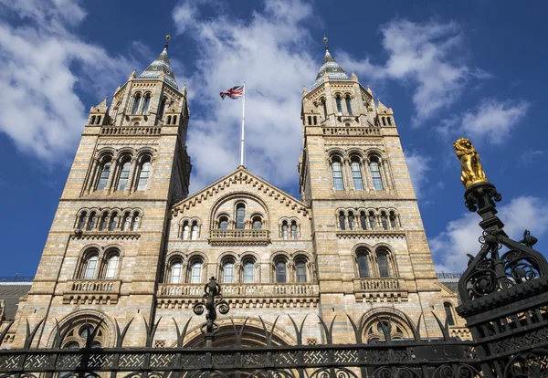 Londra 'daki Doğa Tarihi Müzesi — Stok fotoğraf