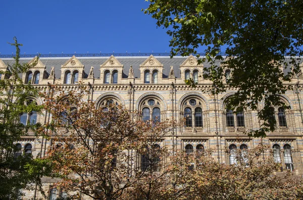 Természettudományi Múzeum Londonban — Stock Fotó