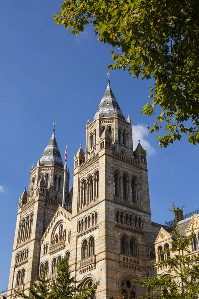 Londra 'daki Doğa Tarihi Müzesi — Stok fotoğraf