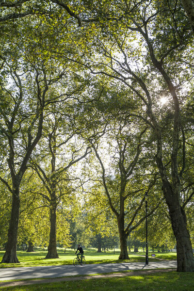 LONDON, UK - OCTOBER 1ST 2015: A view of a sunny Hyde Park in London, on 1st October 2015.