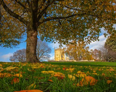 İngiltere, Worcestershire, Evesham 'daki Abbey Park' ta sonbahar manzarası. Evesham Savaş Anıtı ve Evesham Çan Kulesi uzakta..