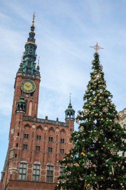 Polonya 'nın güzel kenti Gdansk' ta Noel Ağacı ve Ana Kasaba Binası.