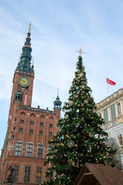 Polonya 'nın güzel kenti Gdansk' ta Noel Ağacı ve Ana Kasaba Binası.