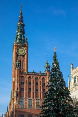 Polonya 'nın Gdansk şehrindeki güzel Noel Ağacı manzarası..