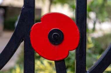 Güney Denizi 'ndeki Priory Park, Essex, İngiltere' deki savaş anıtının etrafındaki korkuluklarda bulunan kırmızı gelinciğin ayrıntıları..