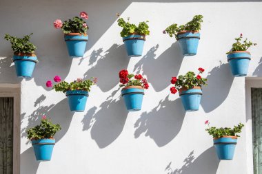 Benalmadena Pueblo 'da güzel saksılar. İspanya' nın eski Benalmadena bölgesi..