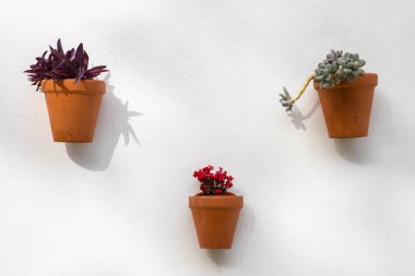İspanya 'nın Torremolinos kentindeki Iglesia de San Miguel Arcangel' in dış tarafındaki asma saksılarına yakın çekim.