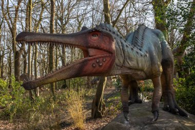 Hertfordshire, İngiltere - 25 Şubat 2026: İngiltere 'deki Hertfordshire Hayvanat Bahçesi' nde Dinozor Dünyası alanında sergilenen bir Baryonyx dinozorunun heykeli.