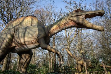 Hertfordshire, İngiltere - 25 Şubat 2026: İngiltere 'deki Hertfordshire Hayvanat Bahçesi' nde Dinozor Dünyası alanında sergilenen bir Spinosaurus dinozorunun heykeli.